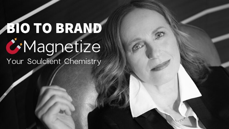 Kurs Magnetize Soulclient Chemistry by Iris Seng