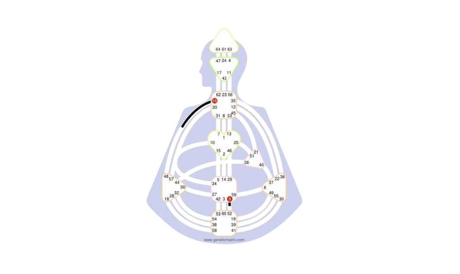 Human Design Bodygraph mit hervorgehobenem Gate 9 – grafische Darstellung des Fokus-Themas im Human Design.